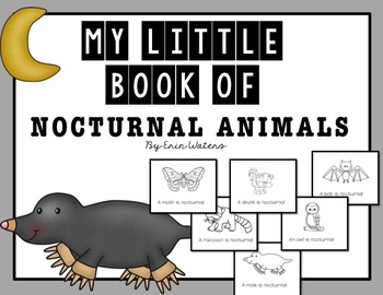 My Little Books: Nocturnal Animals - Erin Waters EDU
