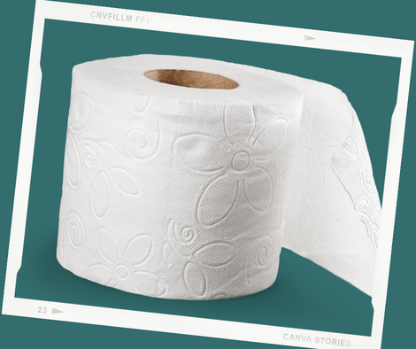 a roll of toilet paper 